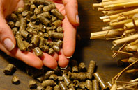 free Ruxton Green biomass boiler quotes