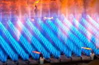 Ruxton Green gas fired boilers